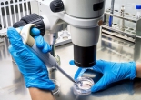 Tin mừng: Virus đậu mùa bò có thể tiêu diệt mọi loại ung thư