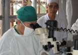 Bác sĩ mắt Vi Văn Cầu