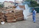 TP.HCM Hơn 24.700 ca mắc sốt xuất huyết, 5 ca tử vong