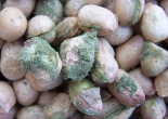 Chuyên gia cảnh báo 6 thực phẩm cần tránh xa nếu không muốn ung thư