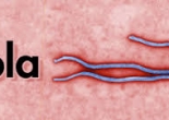 Bộ Y tế yêu cầu cảnh giác phát hiện sớm, phòng lây nhiễm dịch bệnh Ebola
