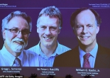 Giải Nobel Y Sinh 2019 mở ra triển vọng điều trị ung thư, thiếu máu