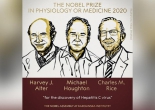 Nobel y sinh 2020 vinh danh khám phá về virus viêm gan C