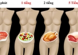 Mất bao lâu để tiêu hóa hết thực phẩm nạp vào cơ thể?